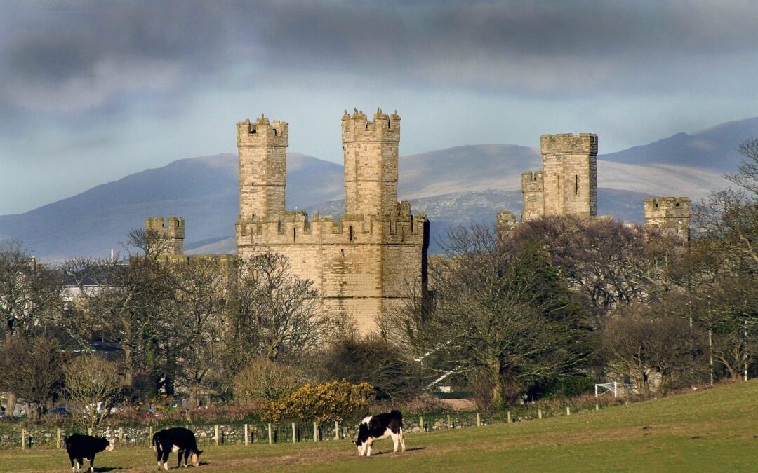 caernarfon-castle-1527073_1920
