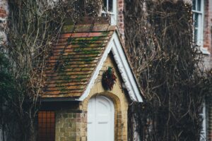 roof in the winter