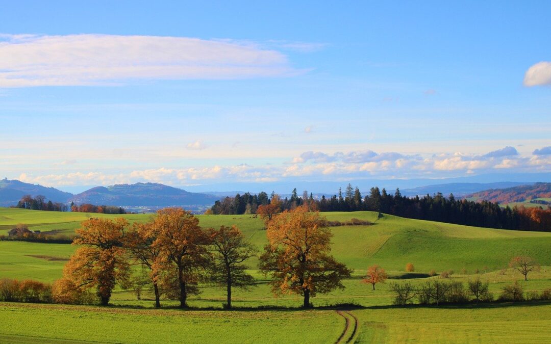 Why You Should Be Staying in a Countryside Hotel in Autumn